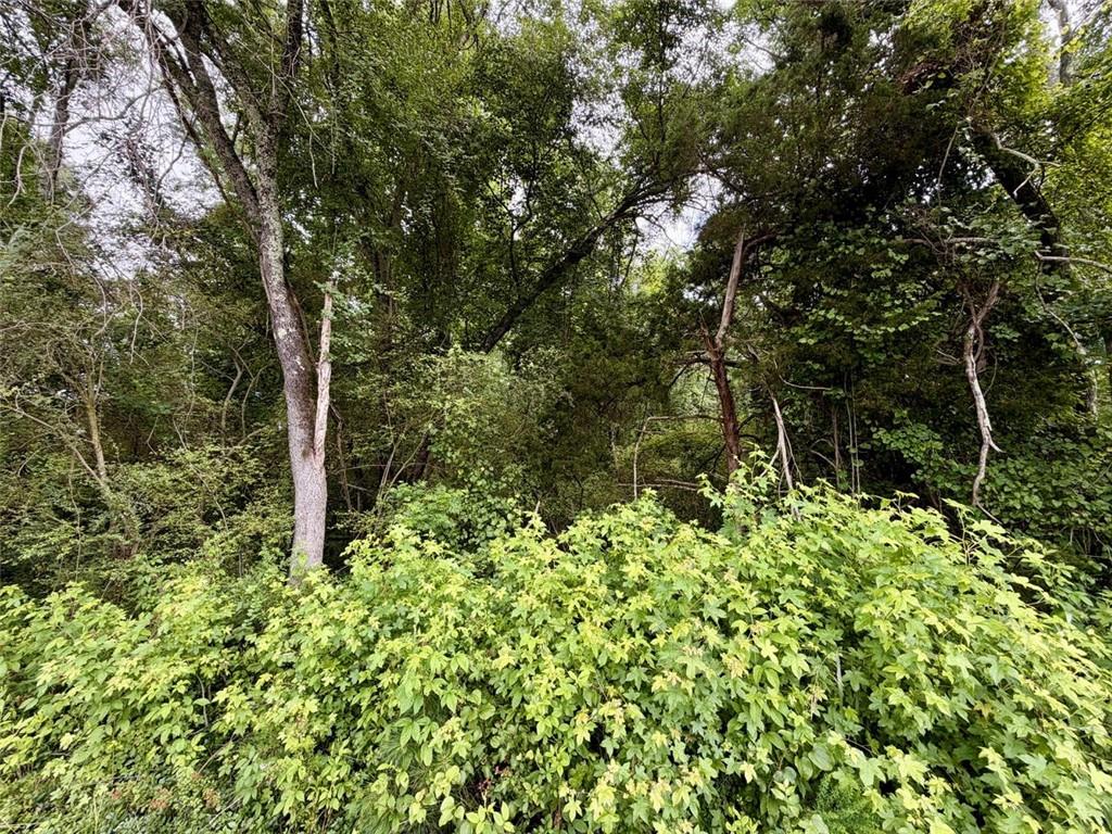 0 Maddox Road Hoschton, GA 30548 - Photo 6 of 17 Gallery Image 6