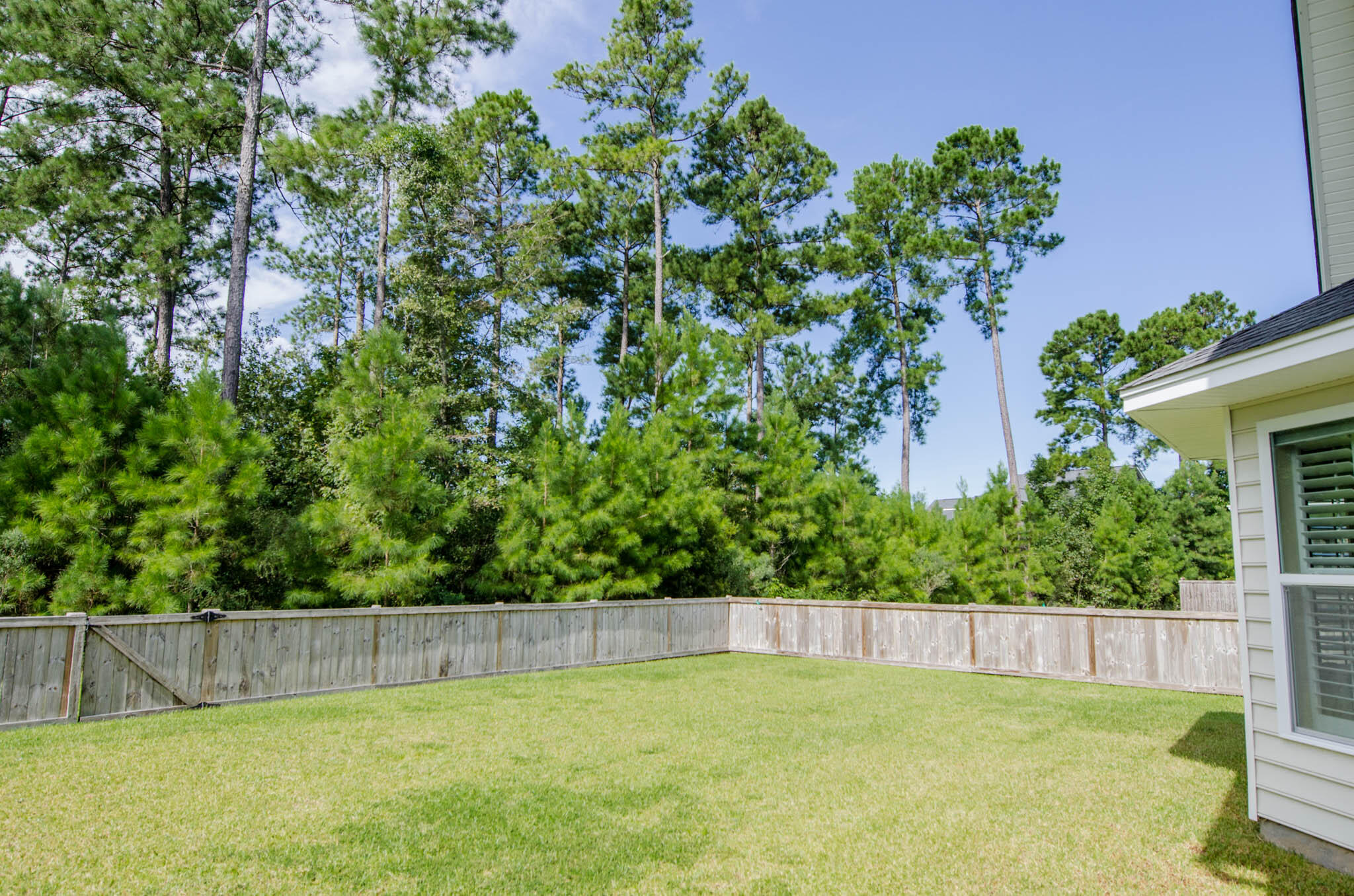 319 Fox Ridge Lane Moncks Corner, SC 29461 - Photo 33 of 34 DSC_3604