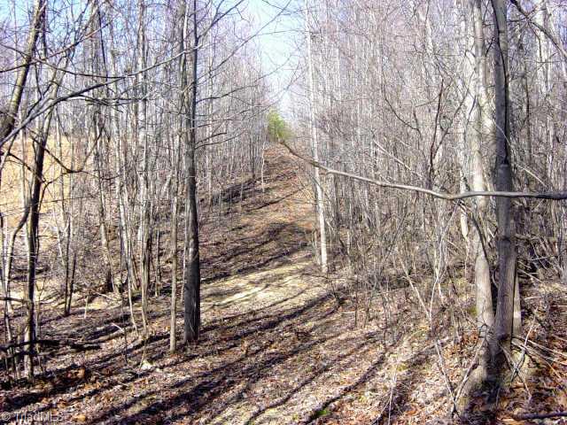 0 Gravel Hill Road, Unit 1 Ruffin, NC 27326 - Photo 2 of 2 Other. Acreage