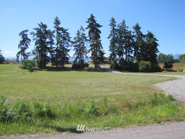952 Heuhslein Road Port Angeles, WA 98362 - Photo 8 of 25 Gallery Image 8