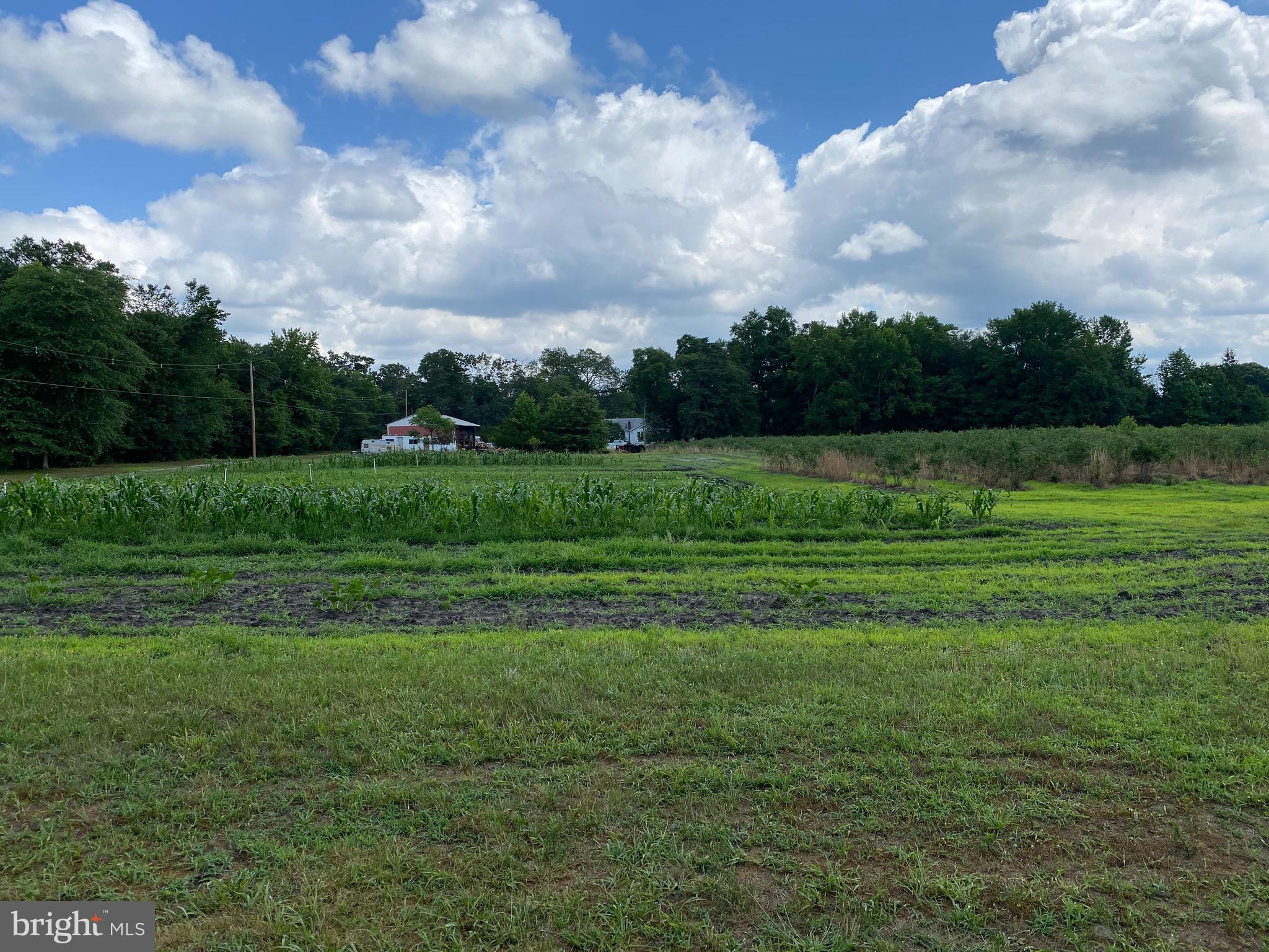 200 Magnolia Road Pemberton, NJ 08068 - Photo 23 of 32