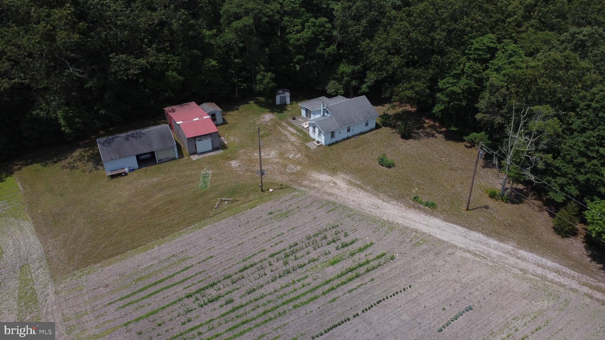 200 Magnolia Road Pemberton, NJ 08068 - Photo 6 of 32