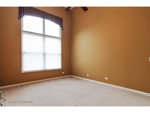 21997 Vernon Ridge Drive Mundelein, IL 60060 - Photo 12 of 22