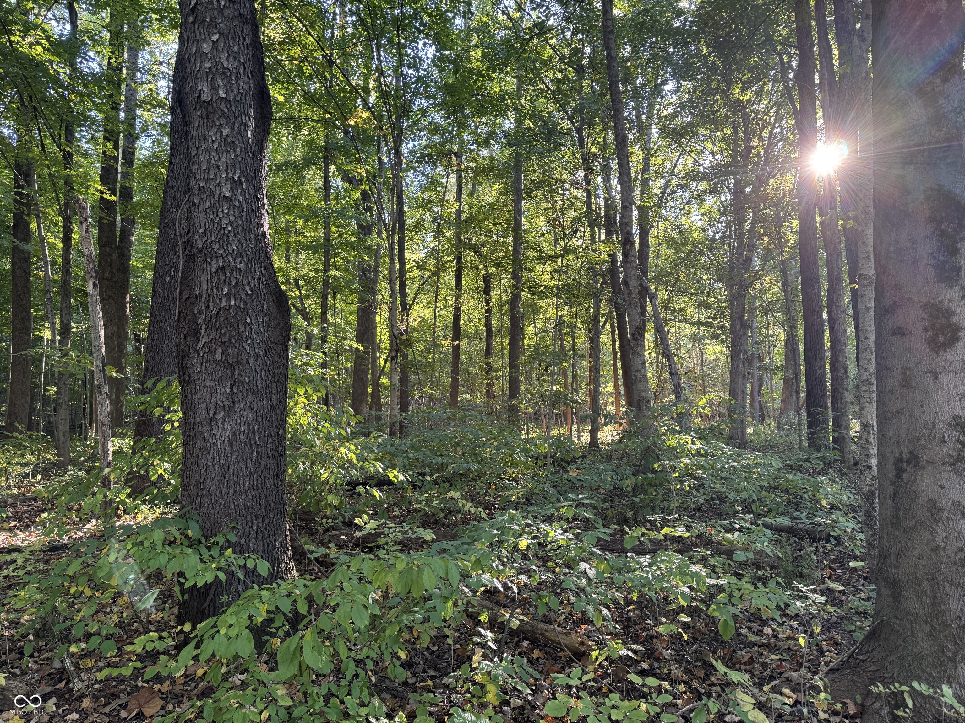 9053 Sargent Road Indianapolis, IN 46256 - Photo 5 of 9