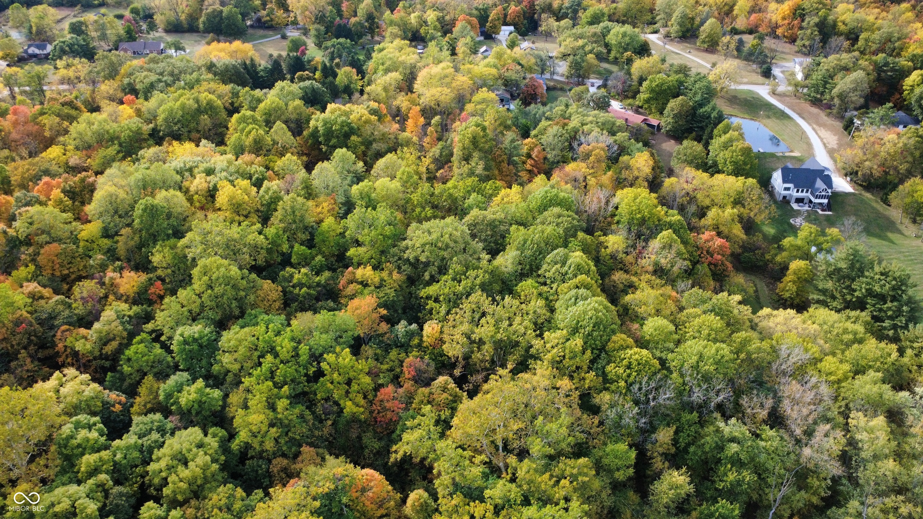 9053 Sargent Road Indianapolis, IN 46256 - Photo 6 of 9