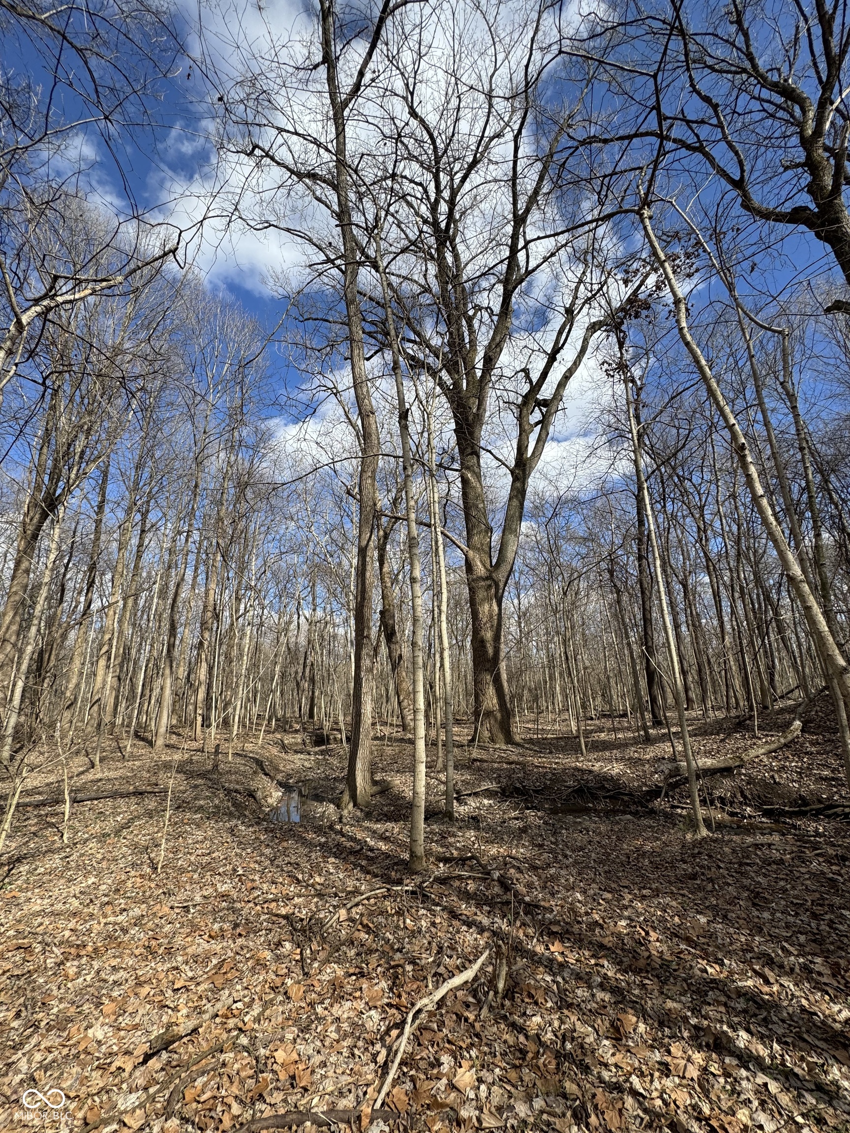 9053 Sargent Road Indianapolis, IN 46256 - Photo 8 of 9