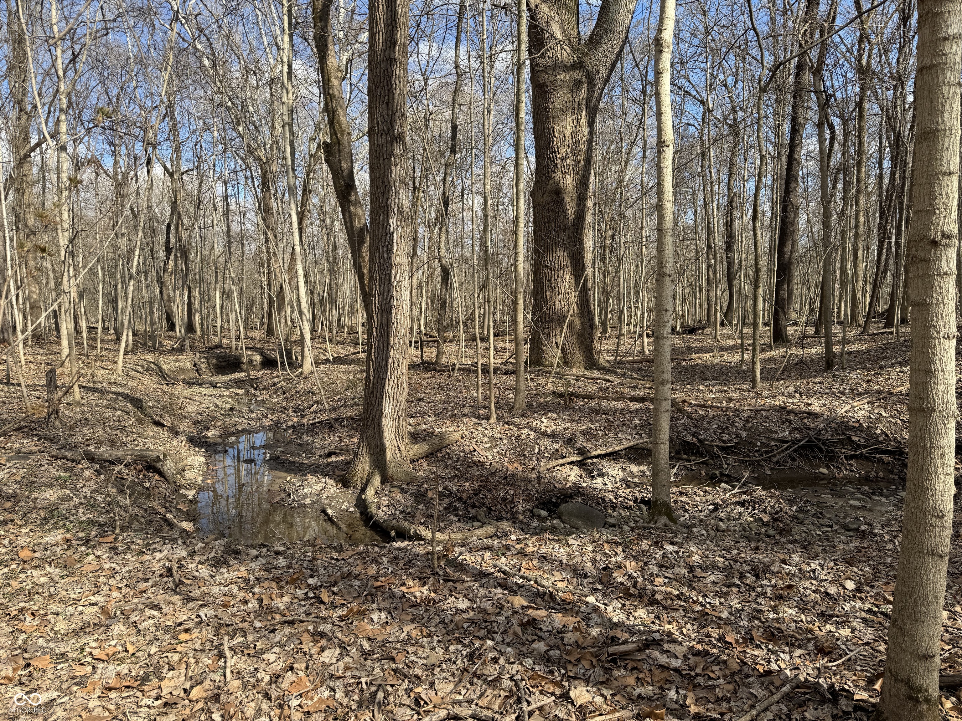 9053 Sargent Road Indianapolis, IN 46256 - Photo 9 of 9