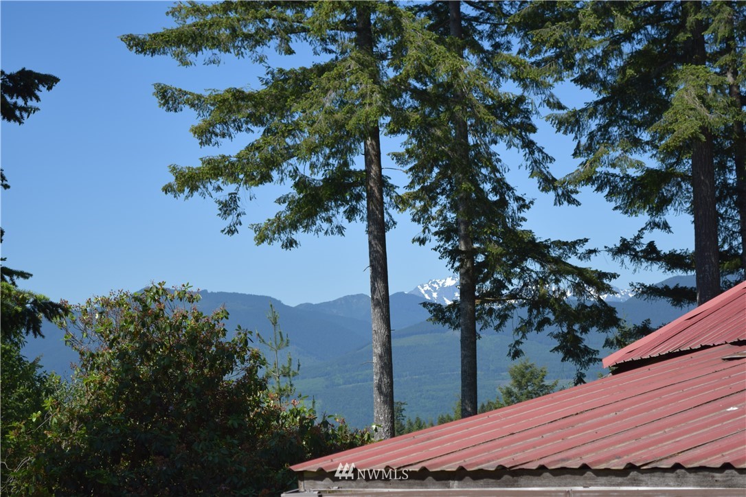 8460 Coyle Road Quilcene, WA 98376 - Photo 3 of 24