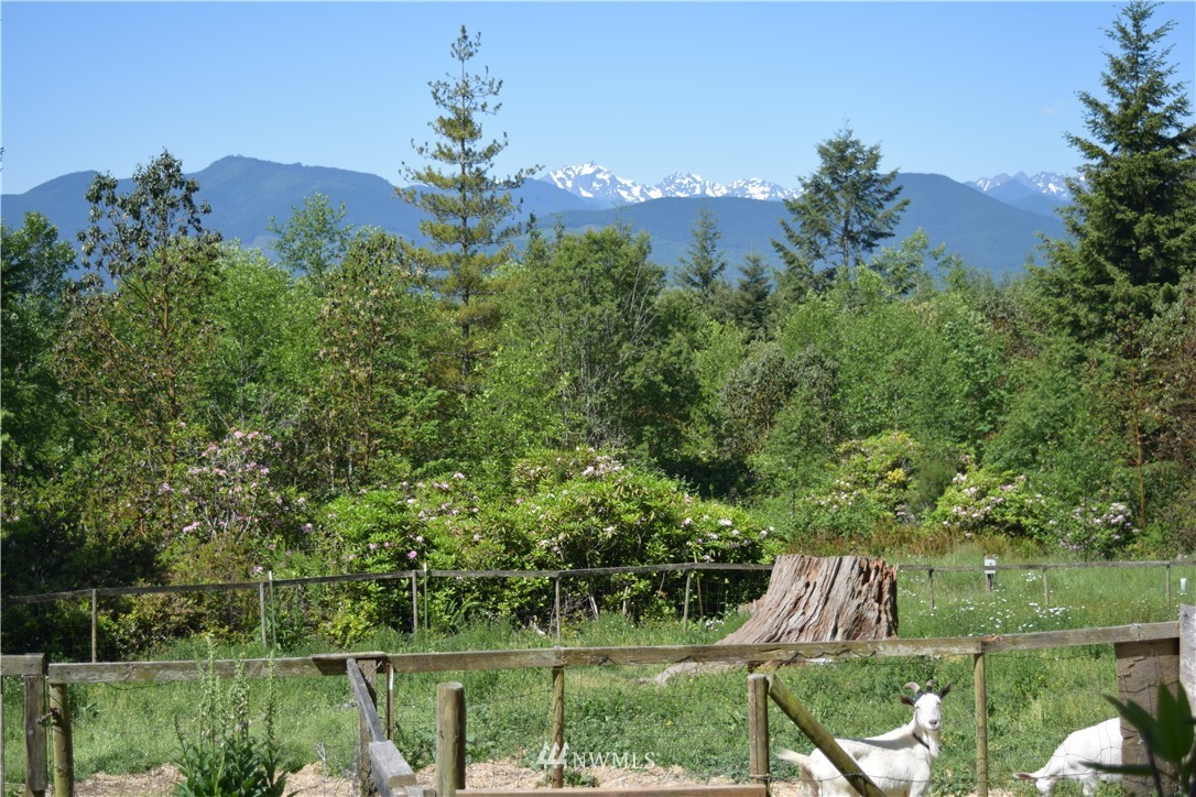 8460 Coyle Road Quilcene, WA 98376 - Photo 5 of 24