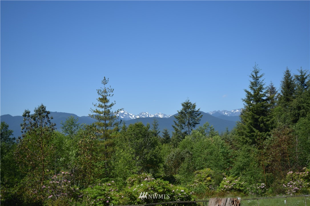 8460 Coyle Road Quilcene, WA 98376 - Photo 7 of 24