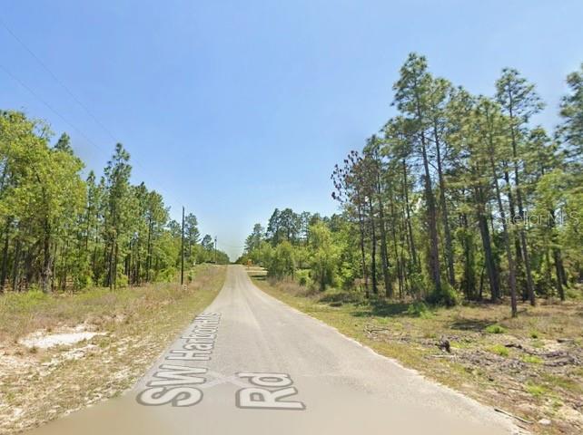 Southwest Harbor Hills Road Brooker, FL 32622 - Photo 4 of 5