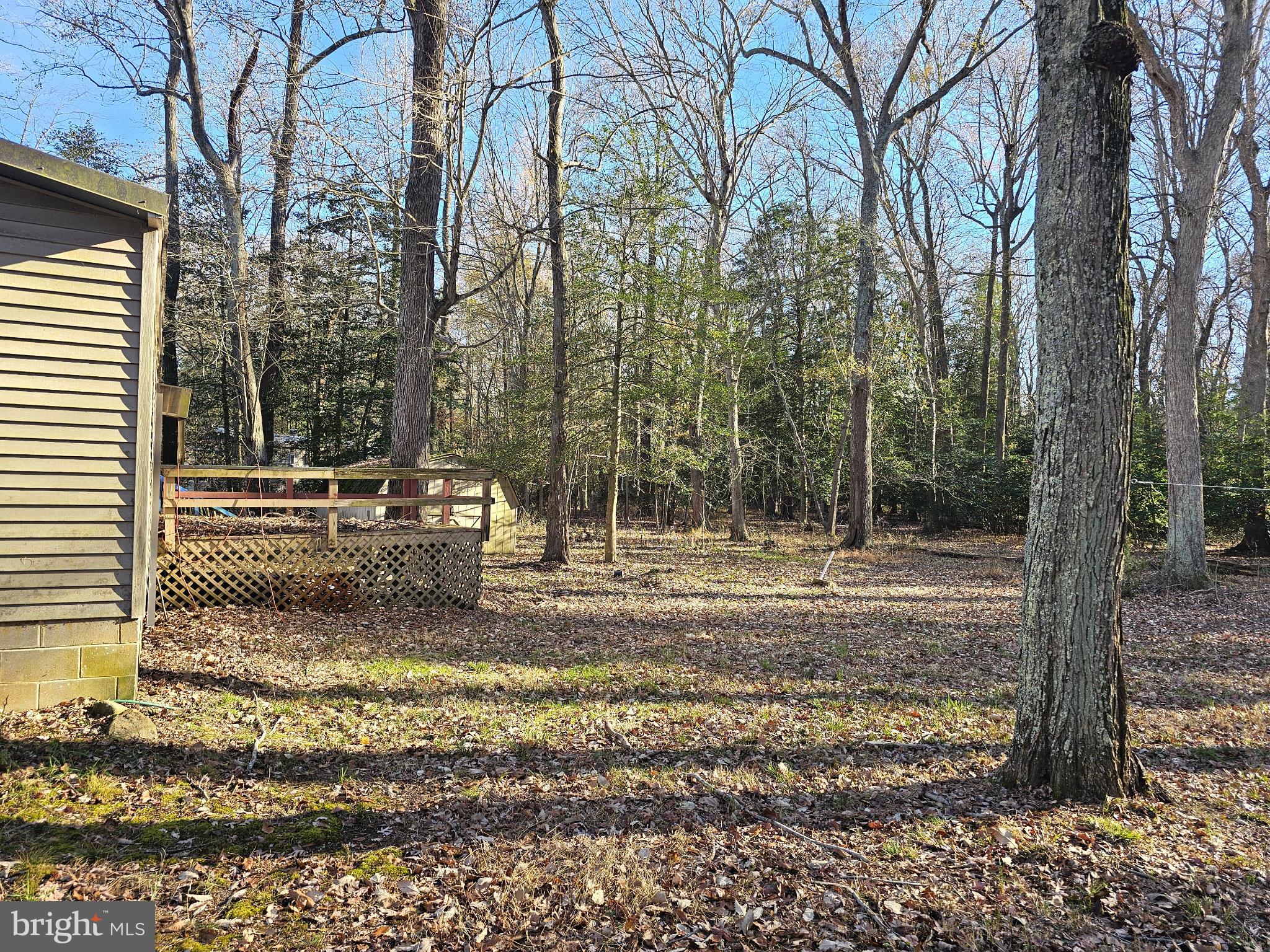 7350 Park Brown Road Harrington, DE 19952 - Photo 6 of 8 a backyard of a house with lots of green space