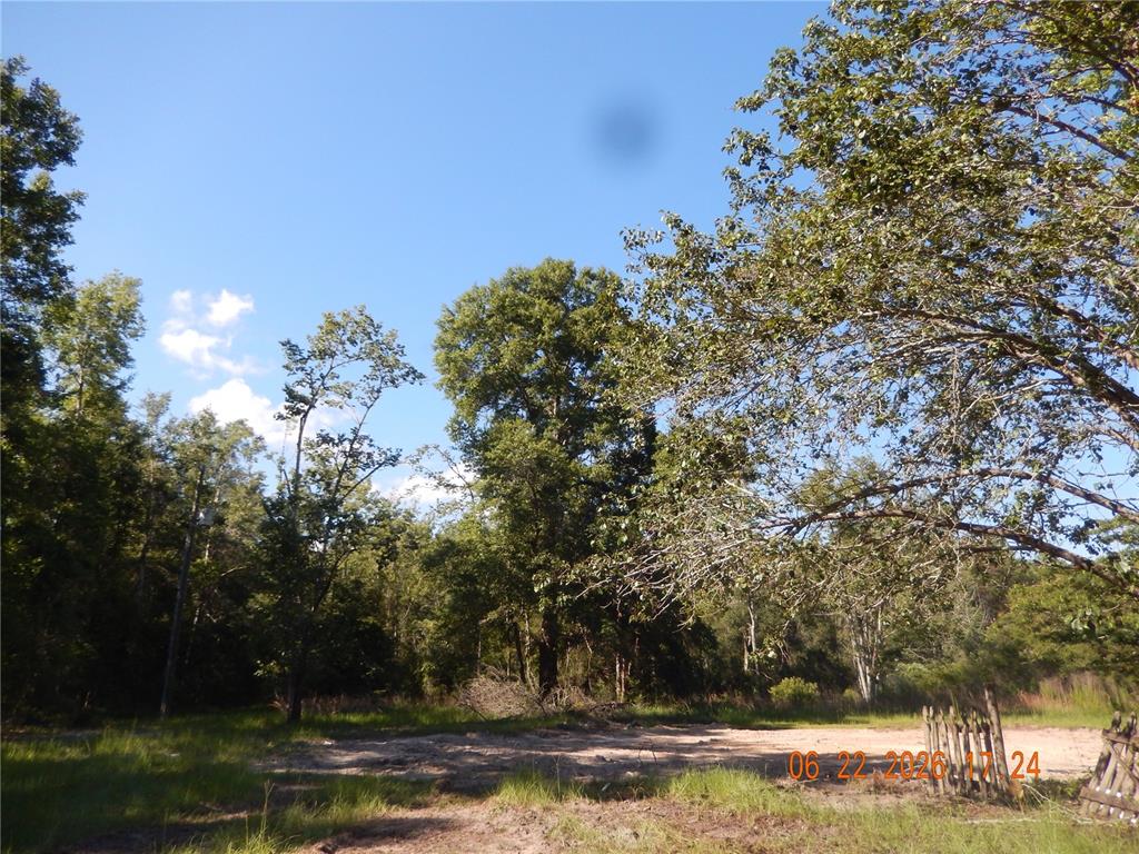 761 Southwest Sunview Street Fort White, FL 32038 - Photo 4 of 4