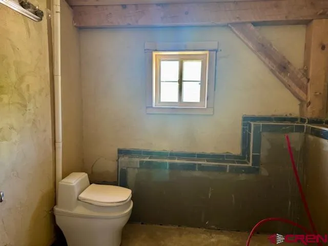 a view of a large yard with plants and a large tree