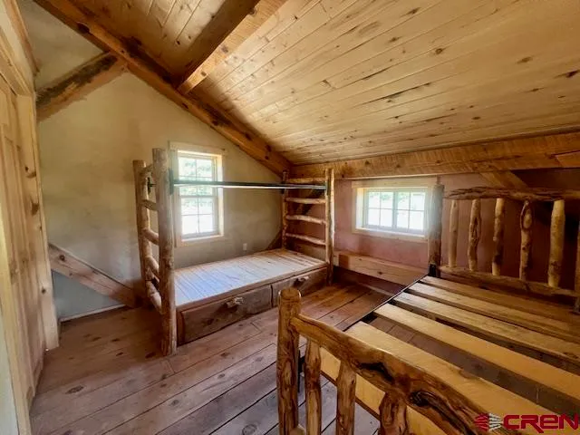 a view of a large tree with a yard in front of it