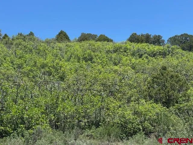 $298,000 | 4915 Road 31, Norwood, CO 81423