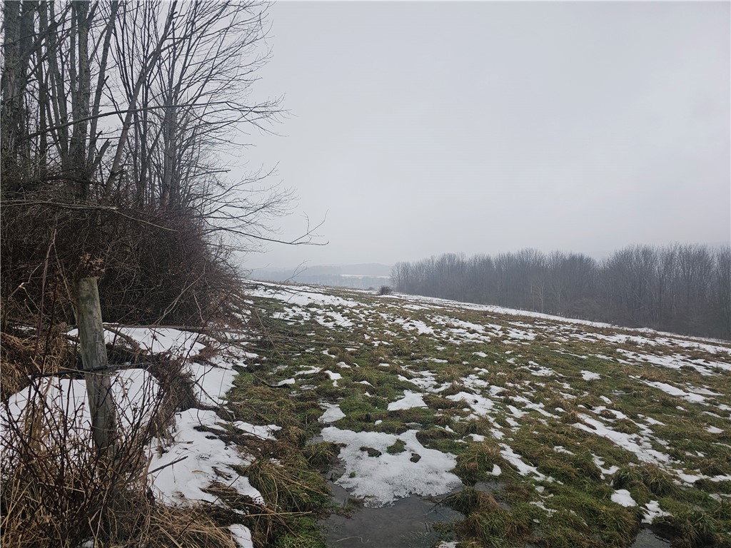 Thornton Road Sinclairville, NY 14782 - Photo 11 of 20