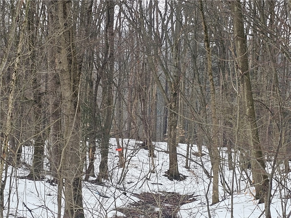 Thornton Road Sinclairville, NY 14782 - Photo 12 of 20