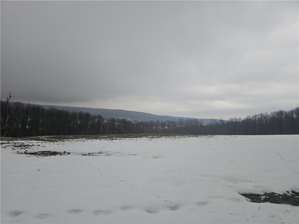 Thornton Road Sinclairville, NY 14782 - Photo 13 of 20