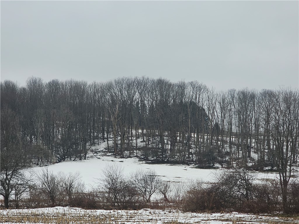 Thornton Road Sinclairville, NY 14782 - Photo 14 of 20