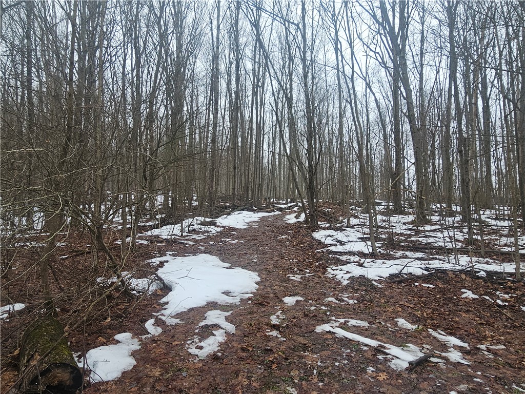 Thornton Road Sinclairville, NY 14782 - Photo 15 of 20