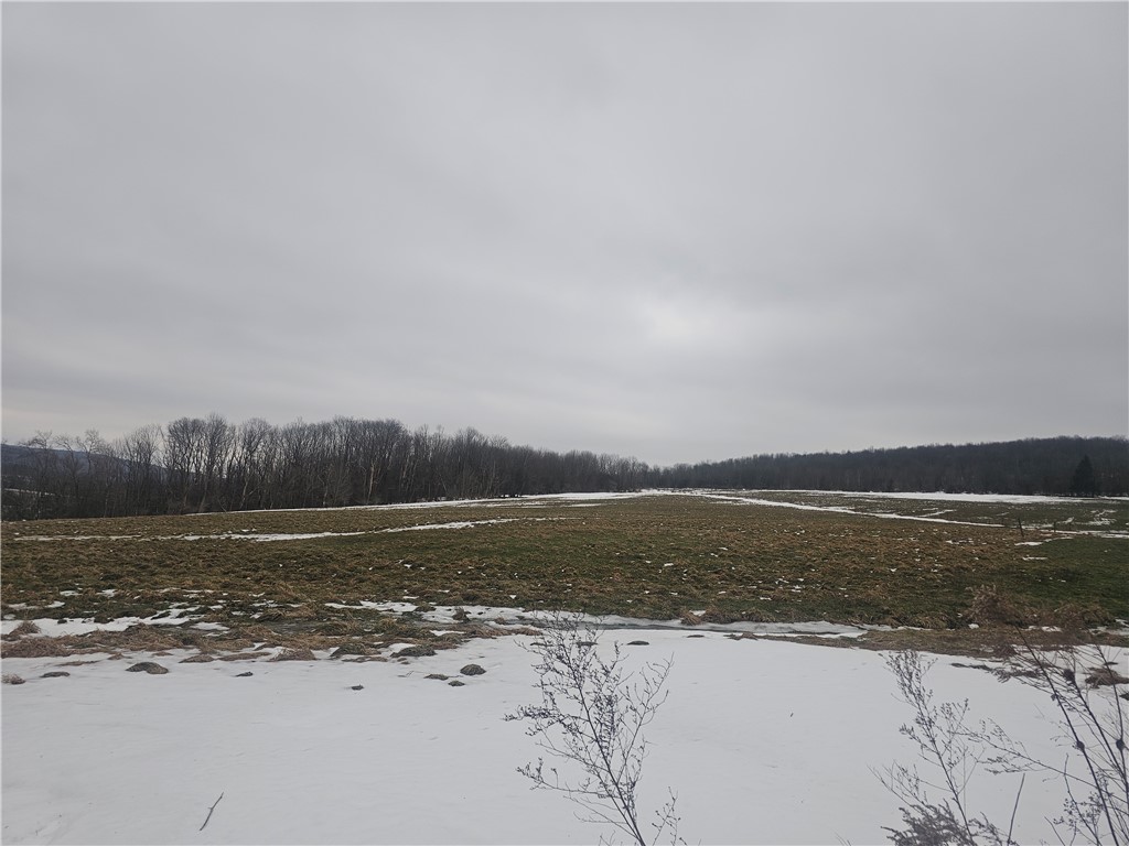 Thornton Road Sinclairville, NY 14782 - Photo 16 of 20