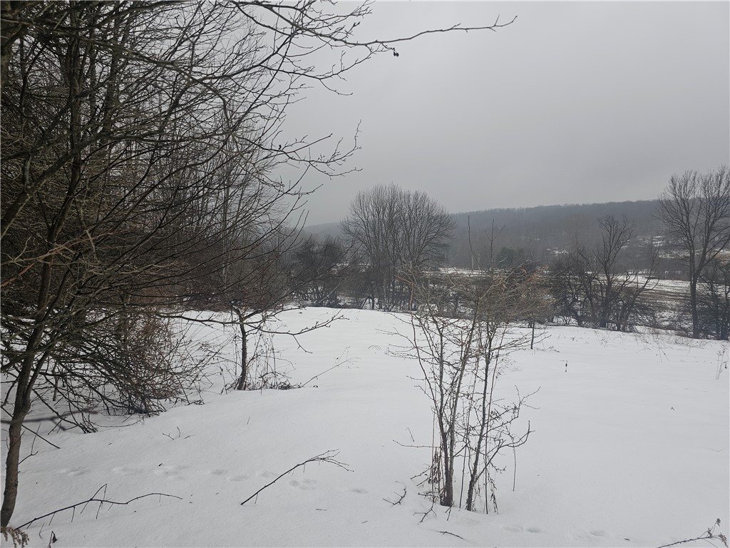 Thornton Road Sinclairville, NY 14782 - Photo 17 of 20