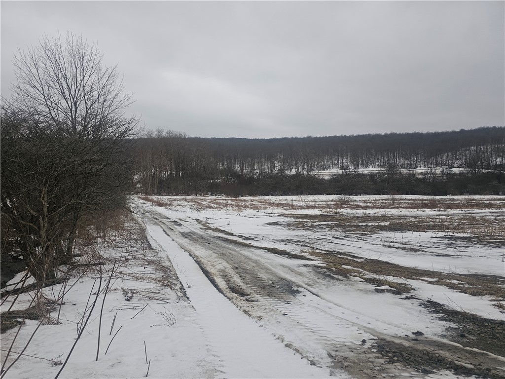 Thornton Road Sinclairville, NY 14782 - Photo 18 of 20