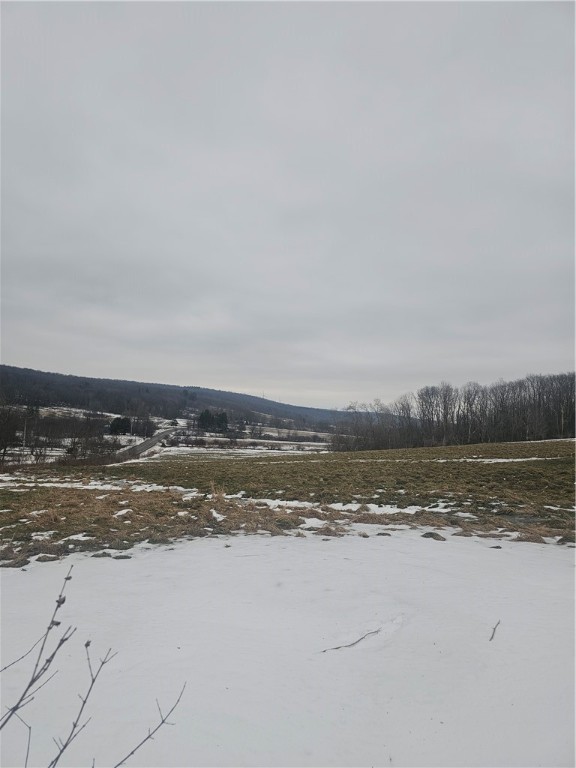 Thornton Road Sinclairville, NY 14782 - Photo 19 of 20