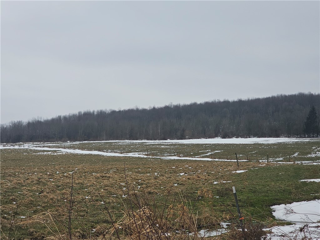 Thornton Road Sinclairville, NY 14782 - Photo 20 of 20