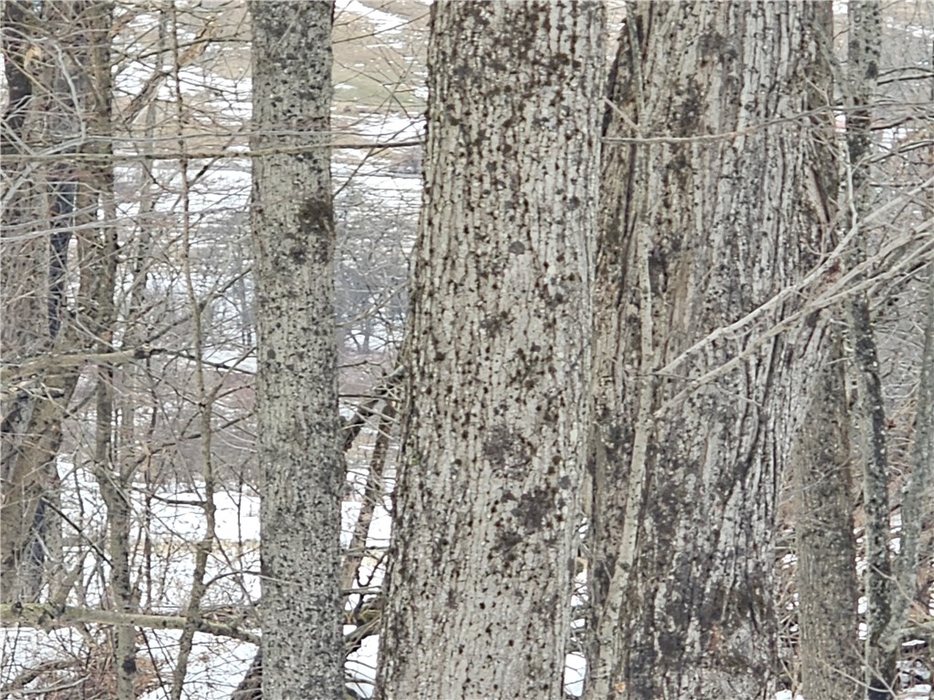 Thornton Road Sinclairville, NY 14782 - Photo 6 of 20