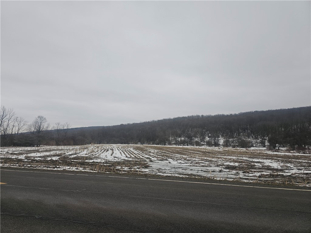 Thornton Road Sinclairville, NY 14782 - Photo 8 of 20