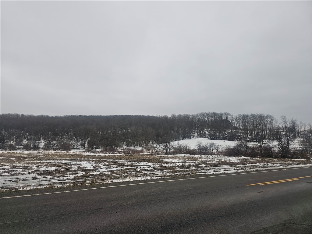 Thornton Road Sinclairville, NY 14782 - Photo 9 of 20