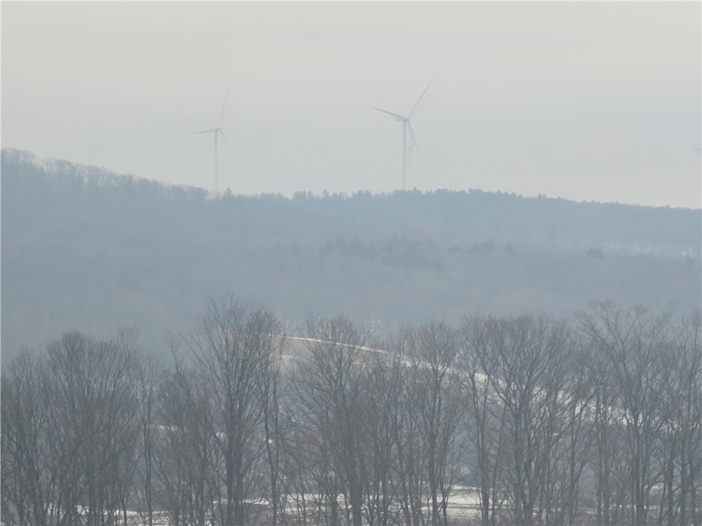 Thornton Road Sinclairville, NY 14782 - Photo 10 of 20