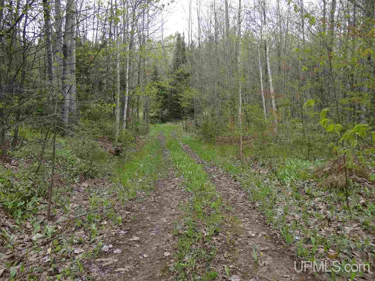 37296 Beck Road Ontonagon, MI 49953 - Photo 23 of 26 Gallery Image 23