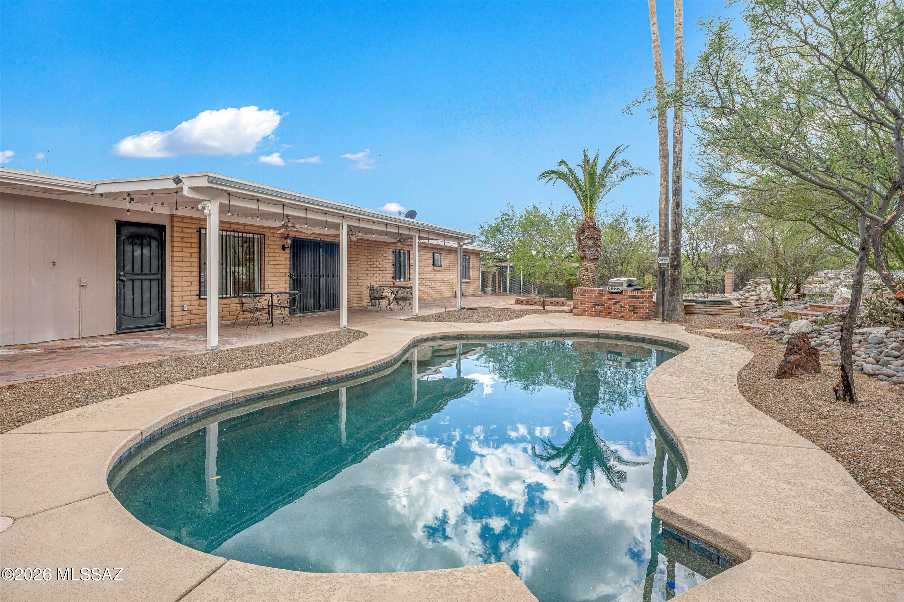 10961 East Roger Road Tucson, AZ 85749 - Photo 24 of 45 Back yard spotted with palm trees