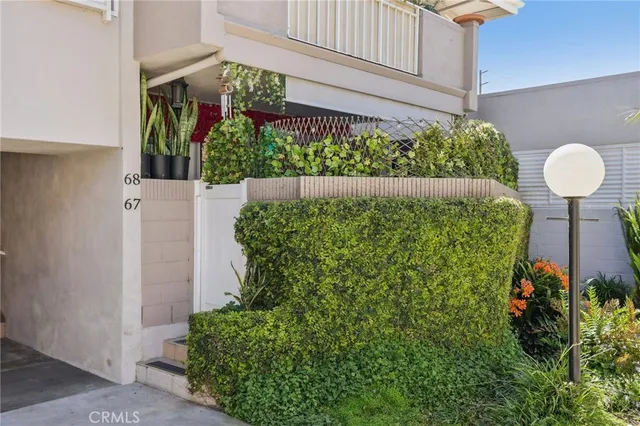 a view of a bunch of flowers