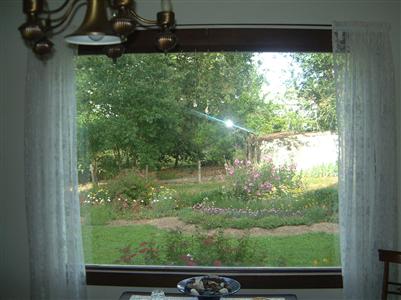 8721 Occidental Road Sebastopol, CA 95472 - Photo 6 of 9 a view of backyard from window
