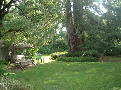 8721 Occidental Road Sebastopol, CA 95472 - Photo 7 of 9 a view of yard with green space