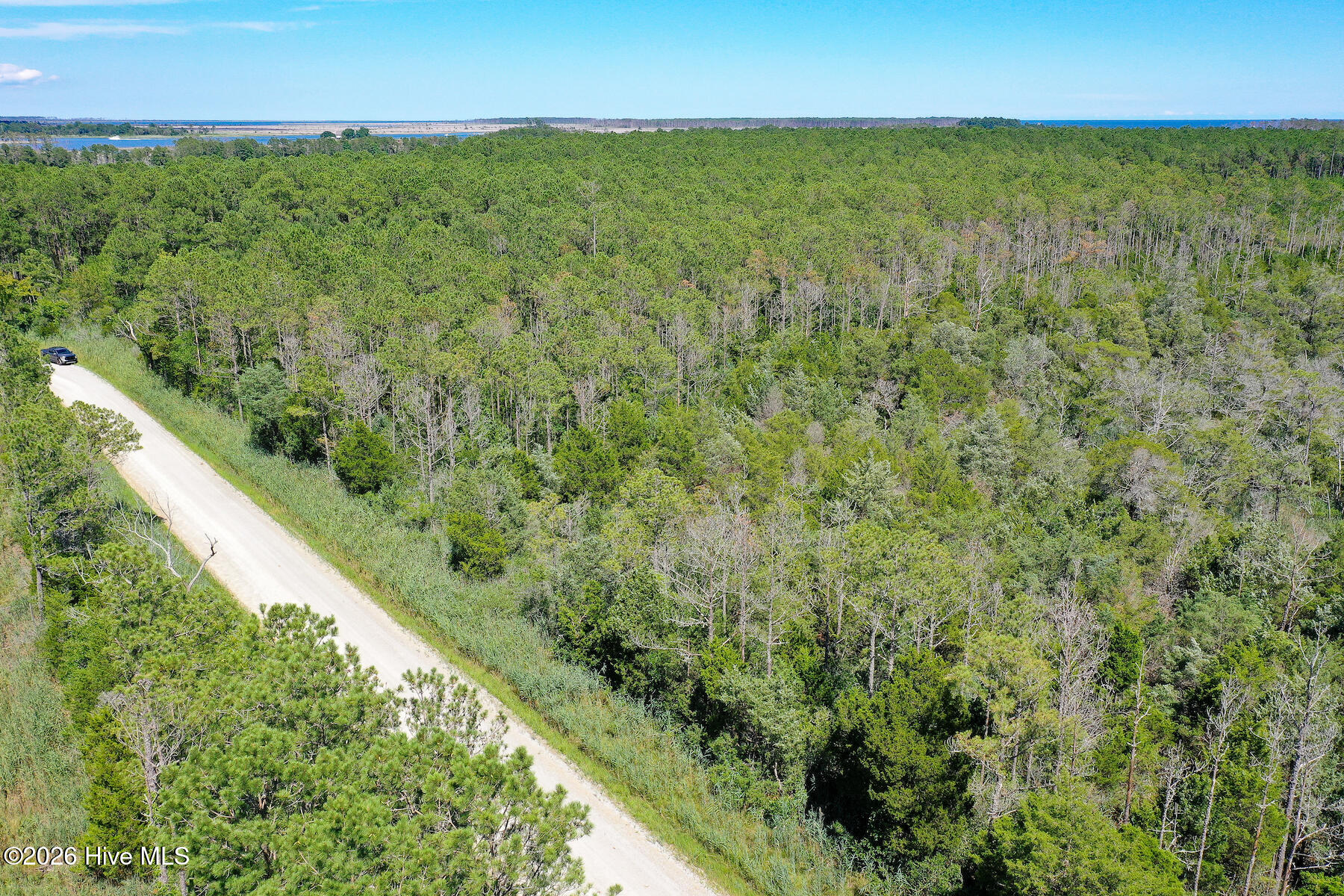 4.57-acres Meekins Road Bayboro, NC 28515 - Photo 11 of 17