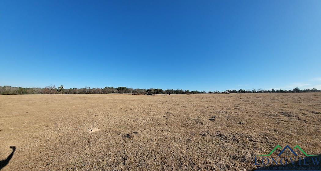 3372 Red Maple Road Big Sandy, TX 75755 - Photo 13 of 34 Gallery Image 13