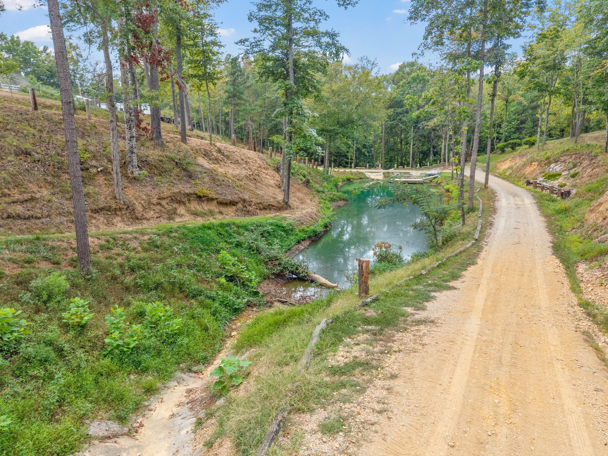 242 Barn Circle Road Big Rock, TN 37023 - Photo 40 of 40 a view of a street view with large trees