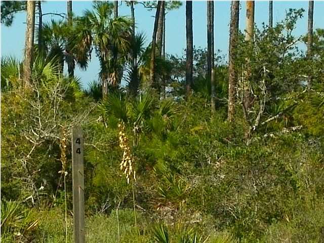 44 Windmark Way, Unit LOT 44 Port St. Joe, FL 32456 - Photo 1 of 1