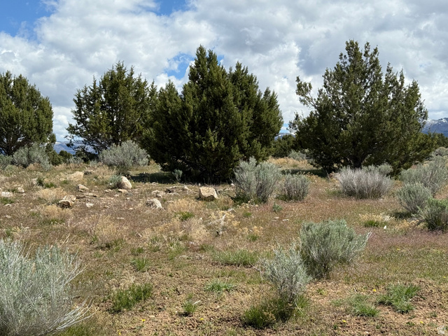 19 Old Highway 89, Unit 19 Spring City, UT 84662 - Photo 3 of 8