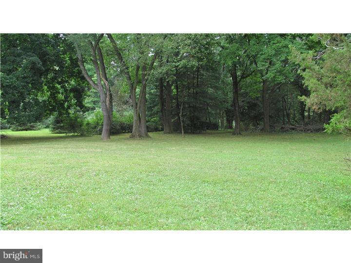64 Mountainview Road Trenton, NJ 08628 - Photo 4 of 18 Back Yard