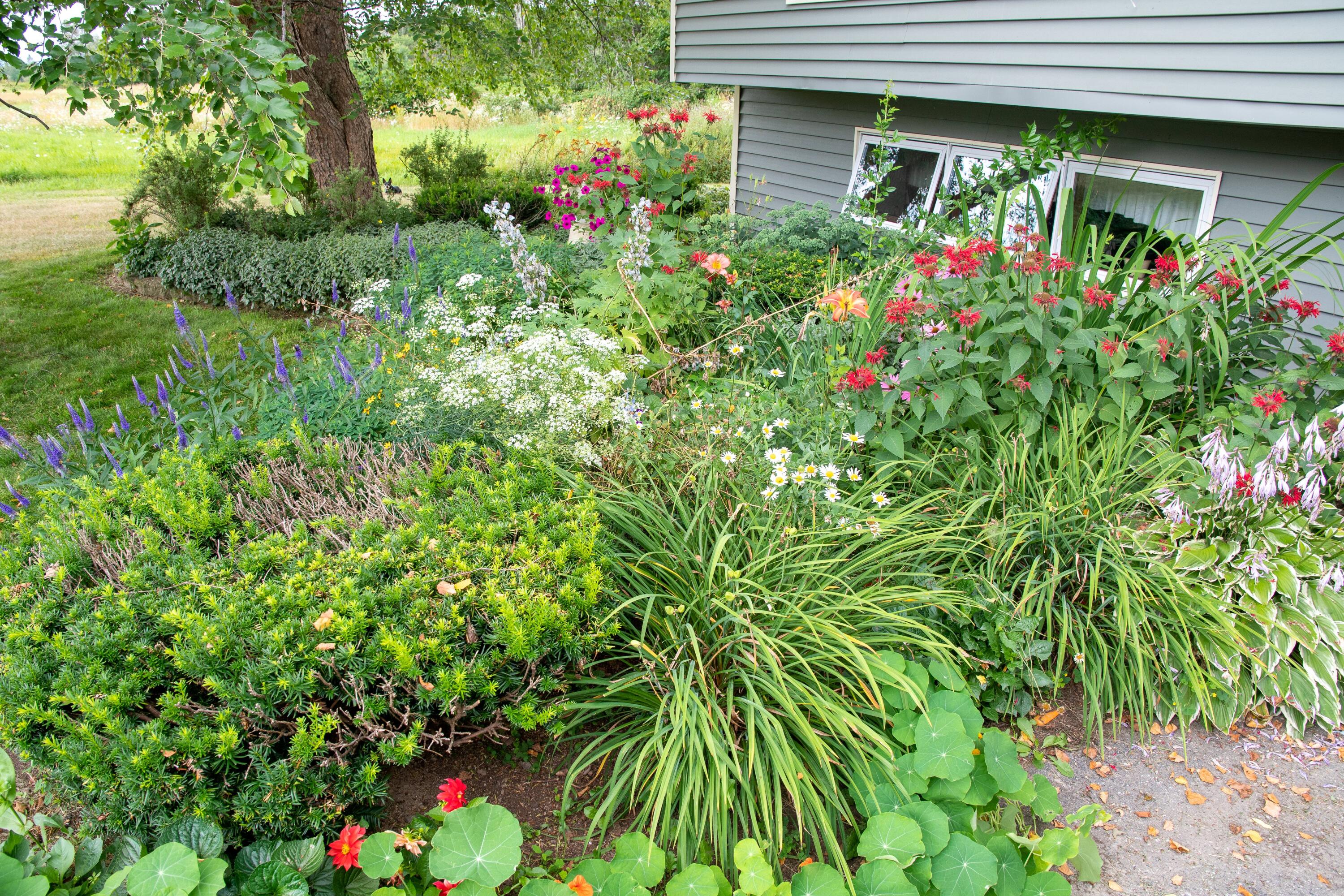 41 Bacon Road Unity, ME 04988 - Photo 33 of 71 Front Garden