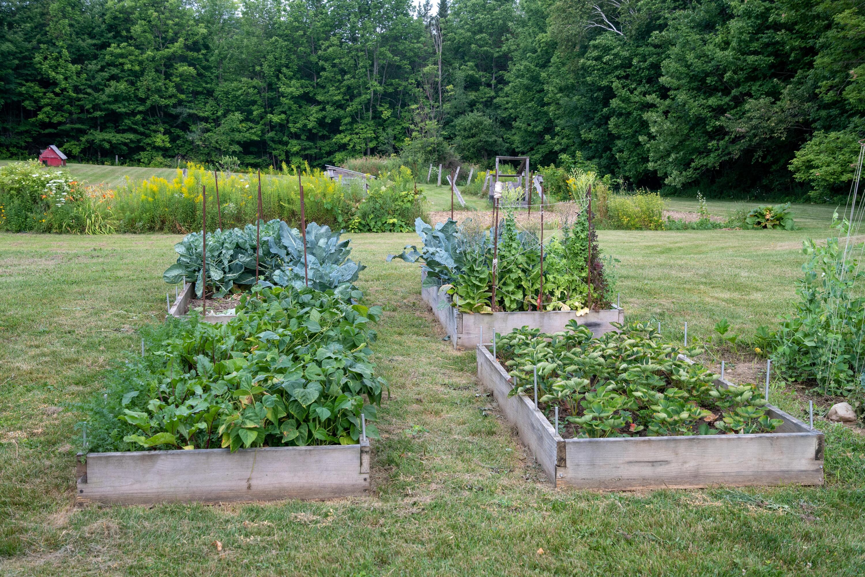 41 Bacon Road Unity, ME 04988 - Photo 36 of 71 Raised Beds