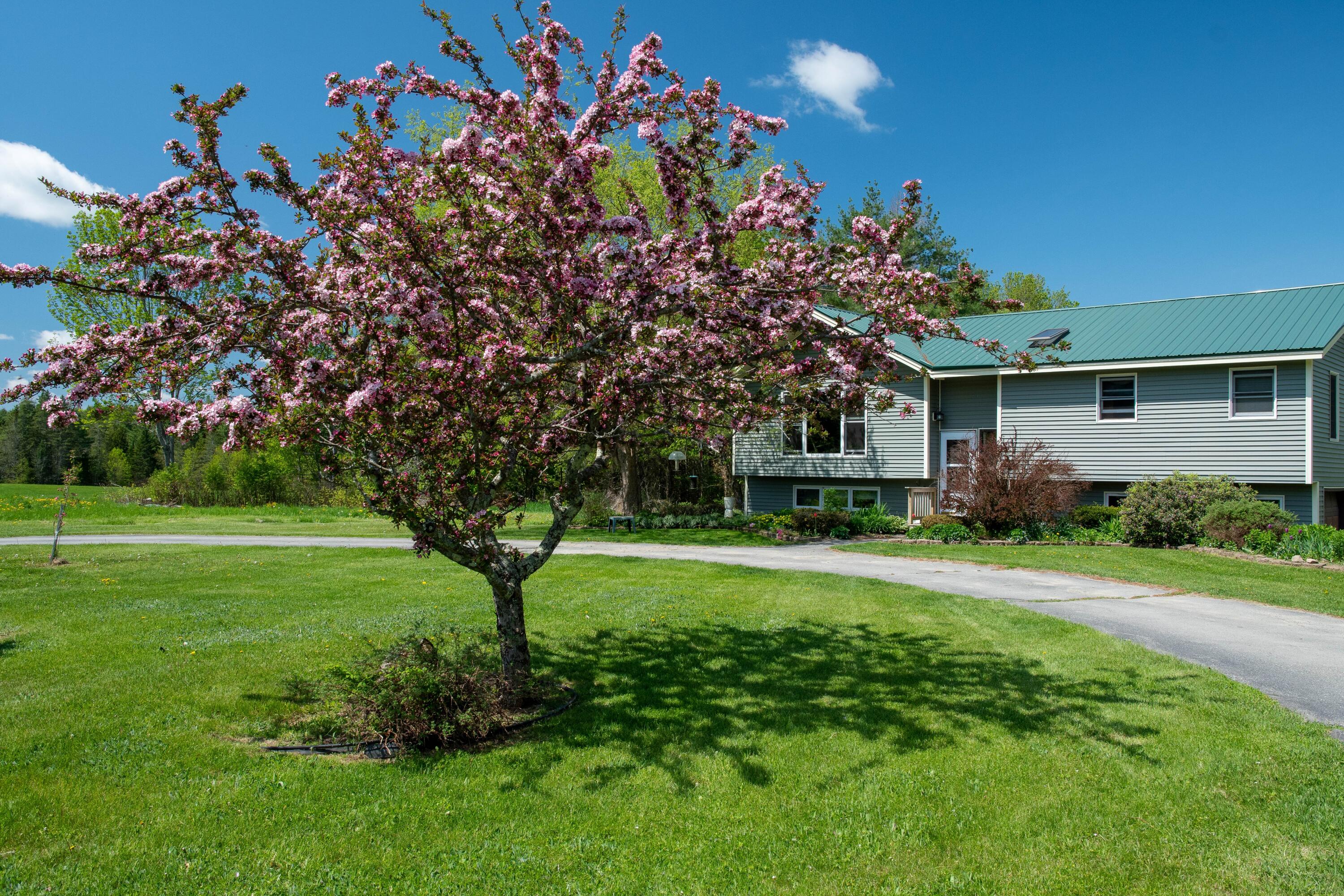 41 Bacon Road Unity, ME 04988 - Photo 64 of 71 Front of Home