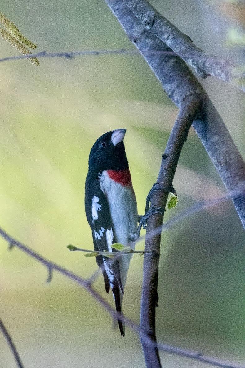 41 Bacon Road Unity, ME 04988 - Photo 66 of 71 Year Round Guests