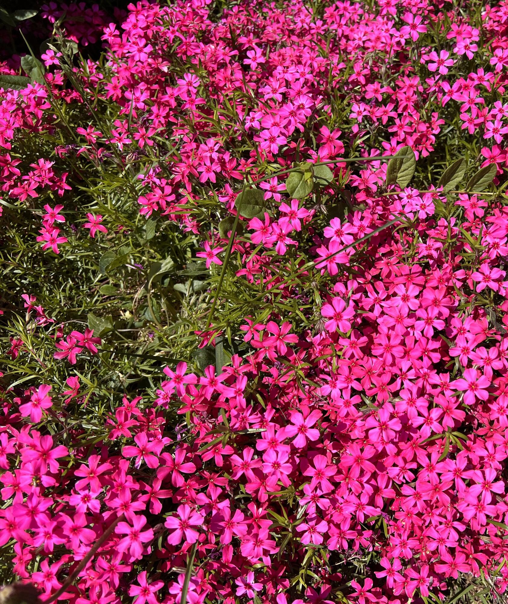 41 Bacon Road Unity, ME 04988 - Photo 69 of 71 Beautiful Blankets of Color